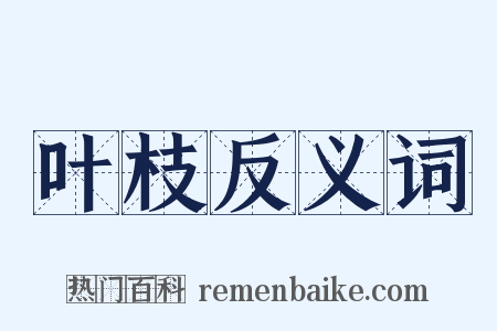 叶枝反义词是什么意思的图片
